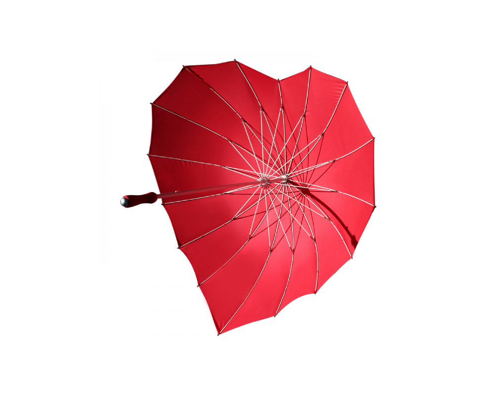 herzregenschirm